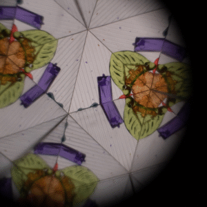 FILIBABBA-Kaleidoscope-ChestNuts-4