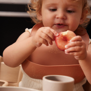 FILIBABBA-LifestyleBibwithPrintSquirrel-1