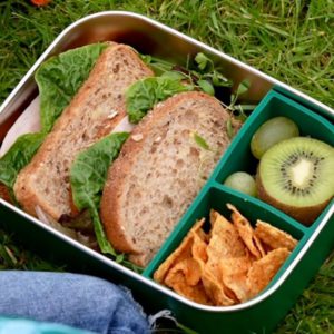 LittleLund-Lunch-Box-Dino6