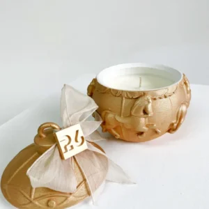 D26-10-20-2-scaled-1-800x1067 (1)